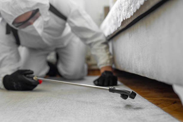 Professional Wasp Control technician working in Fort Pierce South, FL