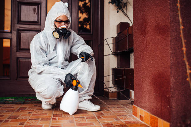 Reliable Cockroach Control contractor in Fort Pierce South, FL by Nex Pest Control