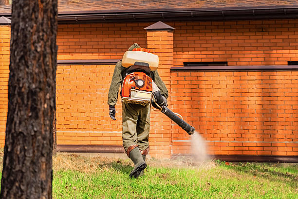 Trusted Ant Control service in Fort Pierce South, FL - Nex Pest Control